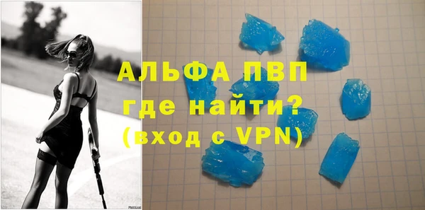индика Киреевск