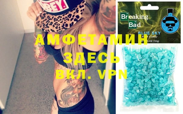 индика Киреевск