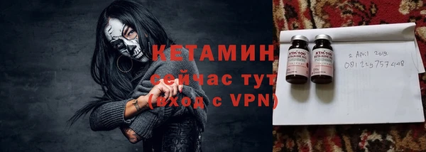 индика Киреевск