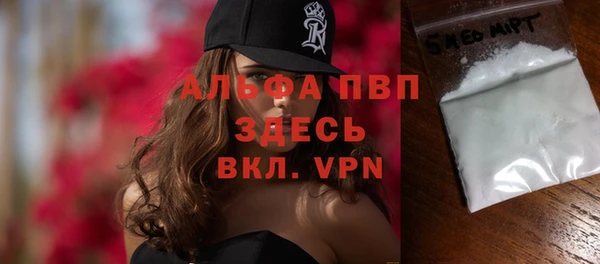 индика Киреевск