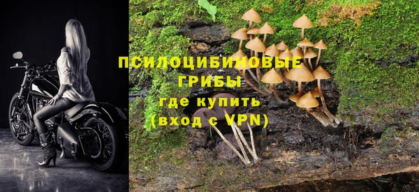 индика Киреевск