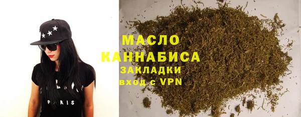 индика Киреевск