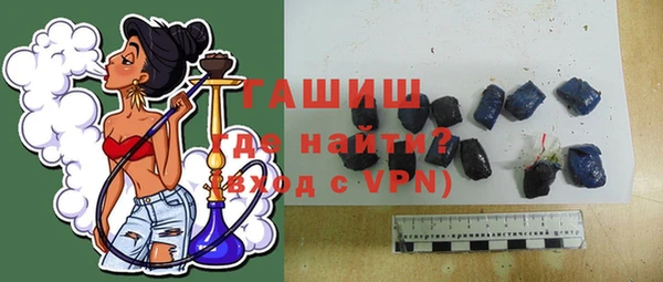 индика Киреевск